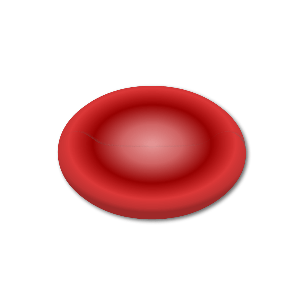RBC-1024x1024.png