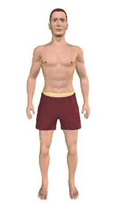 First image in animation of a figure with a flexed vertebral column