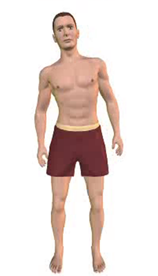 Third image in animation of a figure with lateral flexion