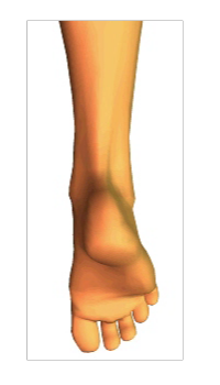 Phalangeal Flexion (5)