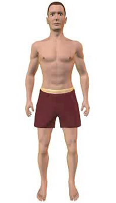 Fourth image in animation of a figure with compressed abdomen