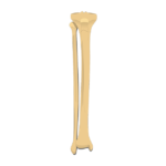 anterior tibia fibula - featured image