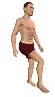 Slide 4 of the animation showing the flexion of the thigh.
