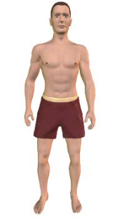 Slide 3 of the animation showing lateral rotation of the thigh.