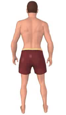 Second image in animation of image of figure with thigh in slight abduction.