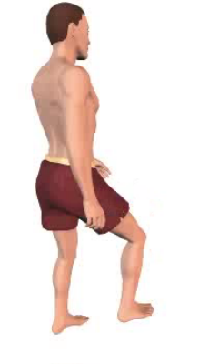 Third image in animation, of figure with thigh in flexed position but slightly more extended than image 2.