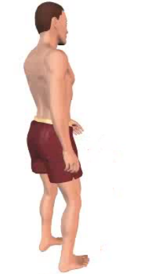 Fifth image in animation, of figure with thigh in anatomical position.