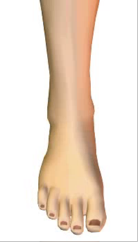 Foot inversion (2)