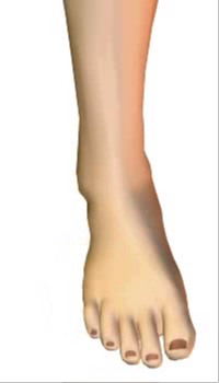 Foot inversion (4)