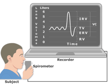 The featured image for the Lung Volumes and Capacities tutorial demonstrating the Vital Capacity