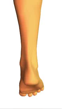 Foot inversion1