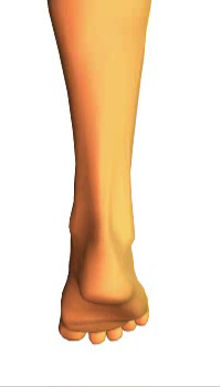 Foot inversion2