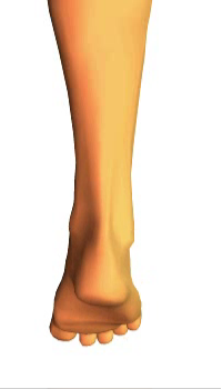 Foot inversion3
