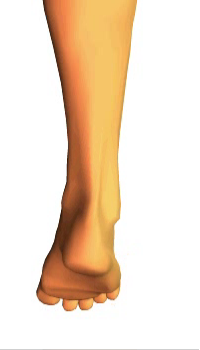 Foot inversion4