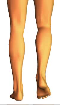 Leg flexion (2)