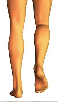 Leg flexion (3)