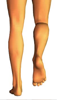 Leg medial rotation (2)
