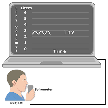 Tidal Volume Animation