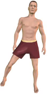 Slide 1 of the animation showing adduction of the thigh.