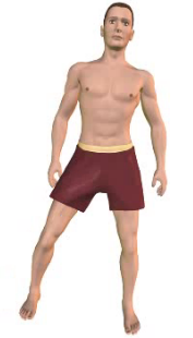 Slide 2 of the animation showing adduction of the thigh.