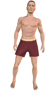 Slide 3 of the animation showing adduction of the thigh.
