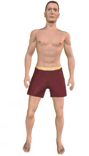 Slide 4 of the animation showing adduction of the thigh.