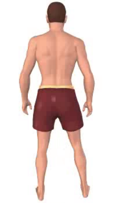 Third image in animation of abduction of thigh.