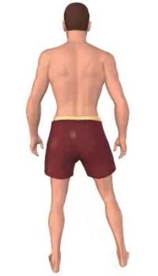 Fourth image in animation of abduction of thigh.