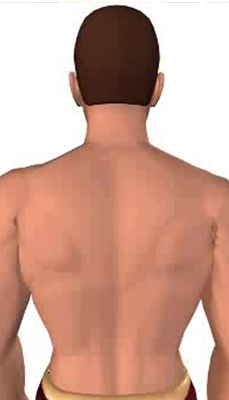 First image in animation of a neck bending laterally