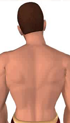 Fourth image in animation of a neck bending laterally