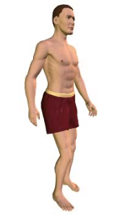 Slide 4 of the animation showing extension of the vertebral column (torso).
