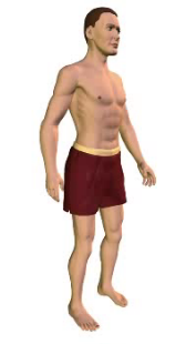 Slide 1 of the animation showing flexion of the vertebral column (torso).