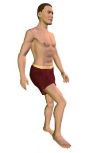 Slide 4 of the animation showing flexion of the thigh.