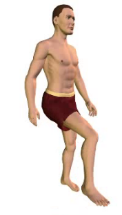 Slide 5 of the animation showing flexion of the thigh.