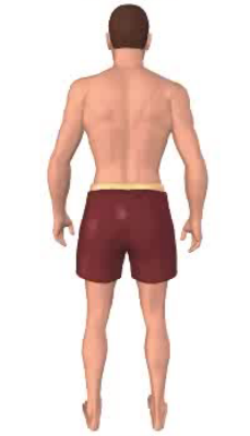First image in animation of lateral rotation of the thigh.