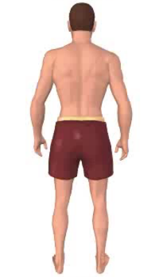 Second image in animation of lateral rotation of the thigh.