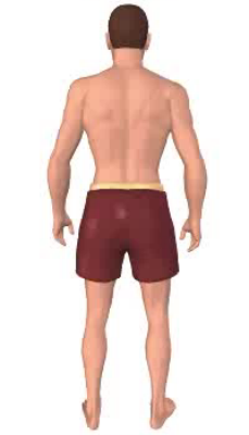 Third image in animation of lateral rotation of the thigh.