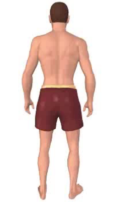 Fourth image in animation of lateral rotation of the thigh.