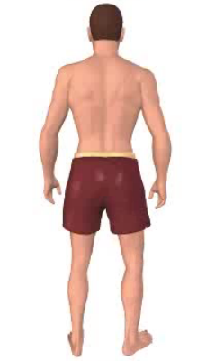 Fifth image in animation of lateral rotation of the thigh.