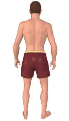 First image in animation, of figure with thigh laterally rotated.