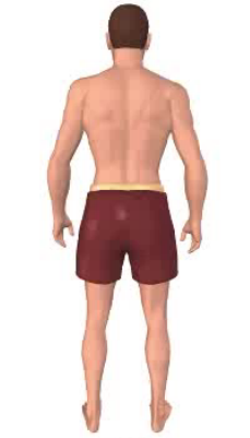 Fourth image in animation of medial rotation of thigh.