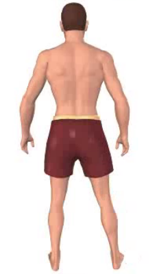 Third image in animation of adduction of thigh
