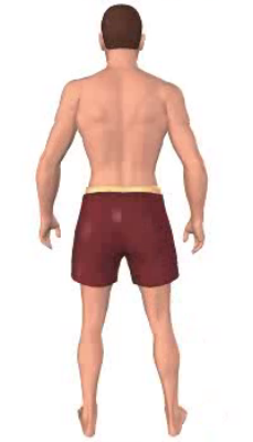 Fourth image in animation of adduction of thigh