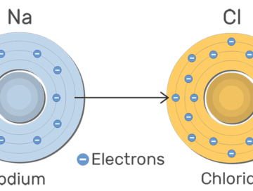 An image showing Na and Cl ions with their electrons