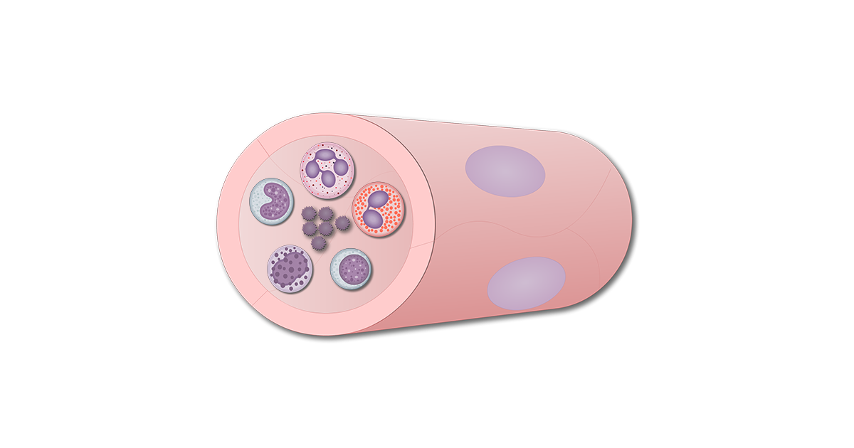 Blood cells and formed elements of the blood | GetBodySmart