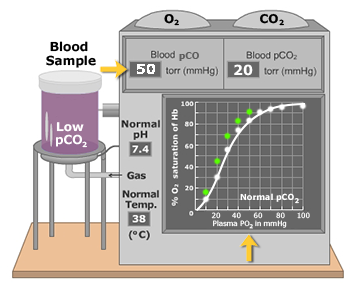 co2 effect on oxygen hemoglobin dissociation curve high blood pressure graph