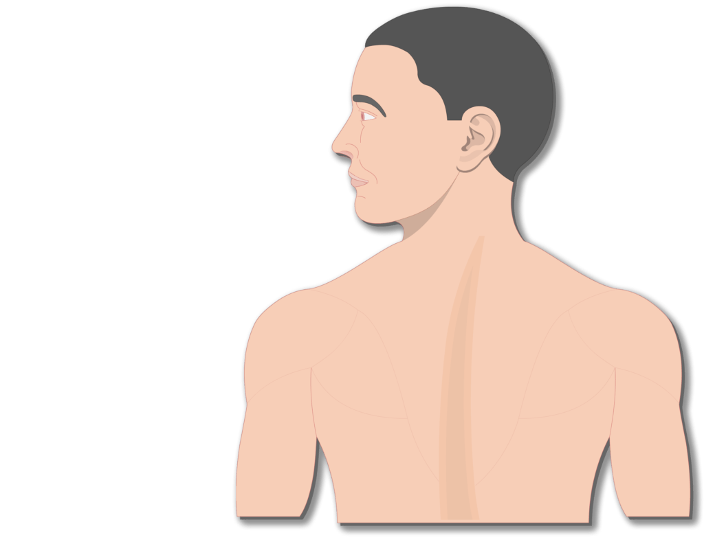 An image of the body showing the head and the back of a smiley man