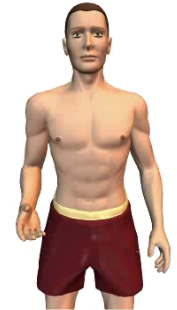 Slide 2 of the animation showing of the pronation of the forearm at the elbow
