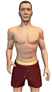 Slide 5 of the animation showing of the pronation of the forearm at the elbow