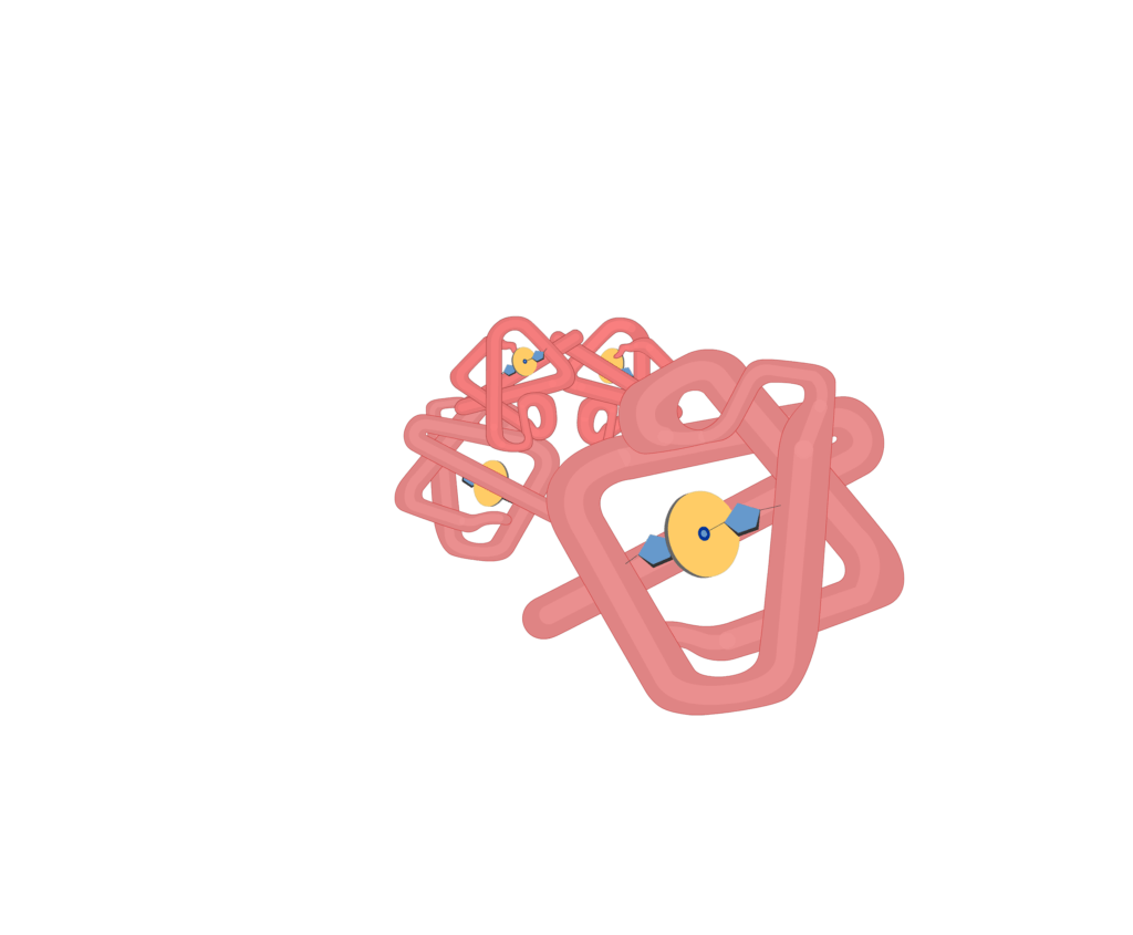 Subunits of hb molecules animation slide 4